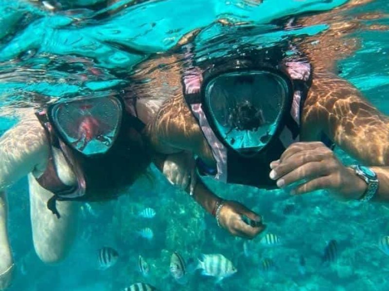 Sataya Dolphins Reef in Marsa Alam