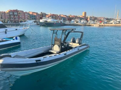 Private speed boat tour cruising between Dolphin Bay, Orange Bay, and Paradise Island