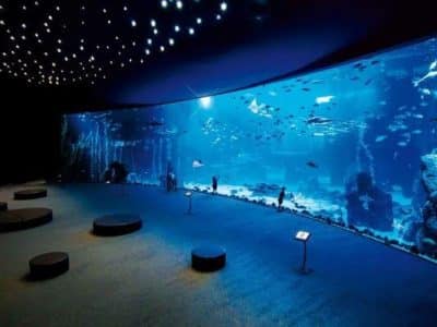 Hurghada Grand Aquarium Marine Life Red Sea Attraction