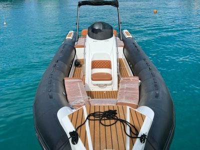 Private speed boat tour cruising between Dolphin Bay, Orange Bay, and Paradise Island