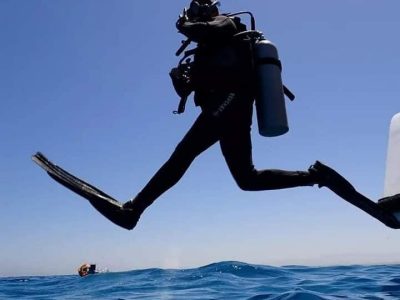 Scuba divers exploring coral reefs during a full day trip with two dives