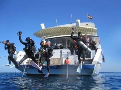Scuba divers exploring coral reefs during a full day trip with two dives