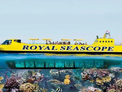 Red Sea glass-bottom boat tour showcasing vibrant corals and colorful fish