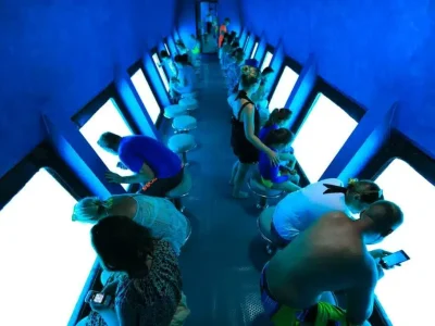 Red Sea glass-bottom boat tour showcasing vibrant corals and colorful fish