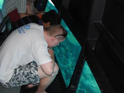 Red Sea Glass-Bottom Boat Coral Reef Tour