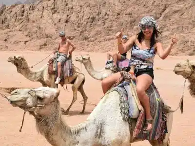 3-Hours Safari Quad Bike Camel Ride in Hurghada Desert