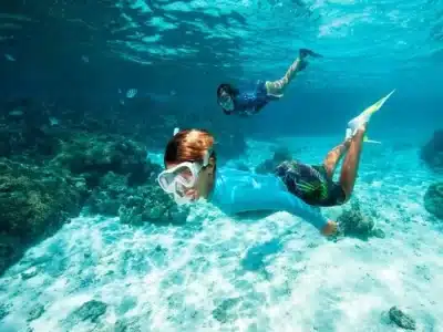 Paradise Island Boat Trip Snorkeling Water Sport Lunch Adventure