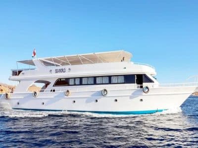 Colorful boat anchored at White Island with tourists enjoying Ras Mohamed & White Island Boat Trip