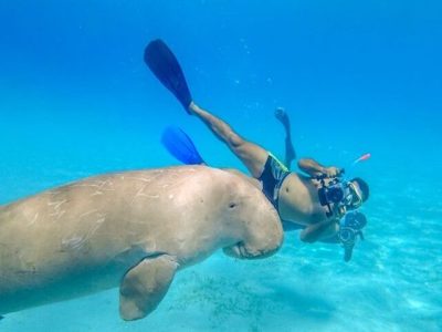 Abu Dabbab Beach one day Trip Marsa Alam