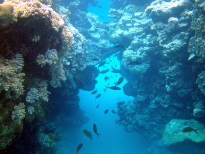 Crystal-clear waters and white sands at Sharm El Luli and El Qulaan Marsa Alam Trip
