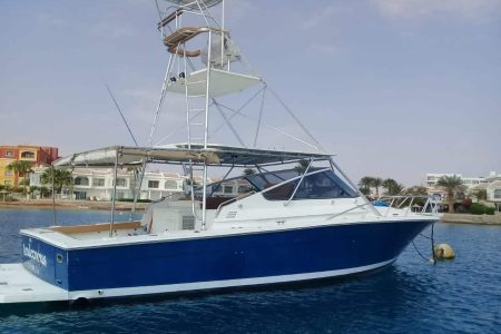Private family boat trip with kids fishing, snorkeling, and enjoying lunch on a sunny island