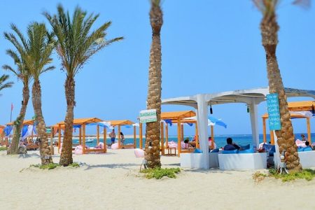 Tourists snorkeling near sea turtles at Abu Dabbab Beach one day Trip Marsa Alam
