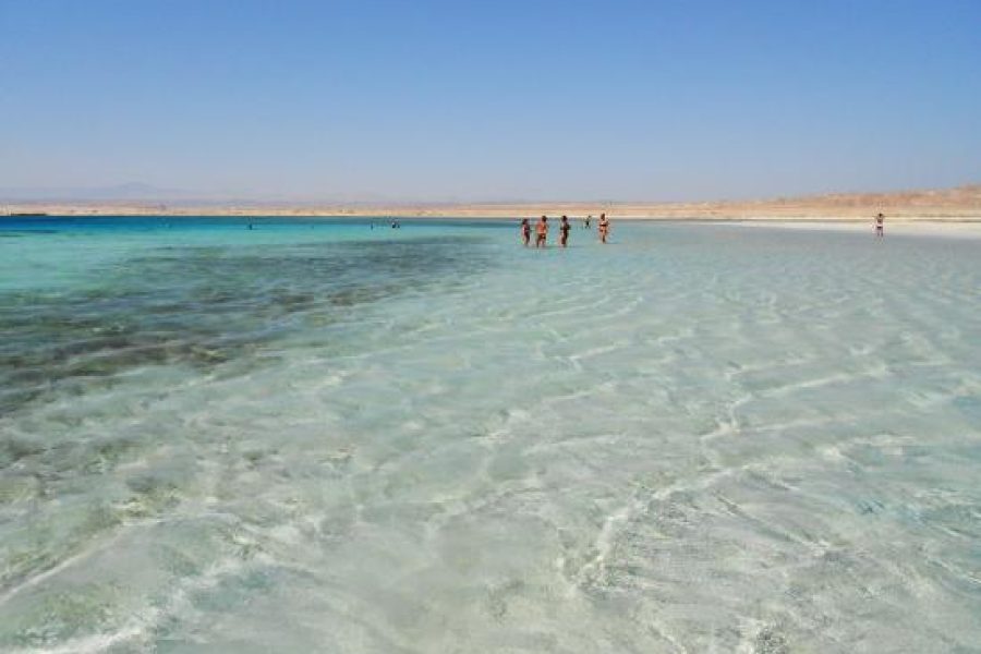 Crystal-clear waters and white sands at Sharm El Luli and El Qulaan Marsa Alam Trip